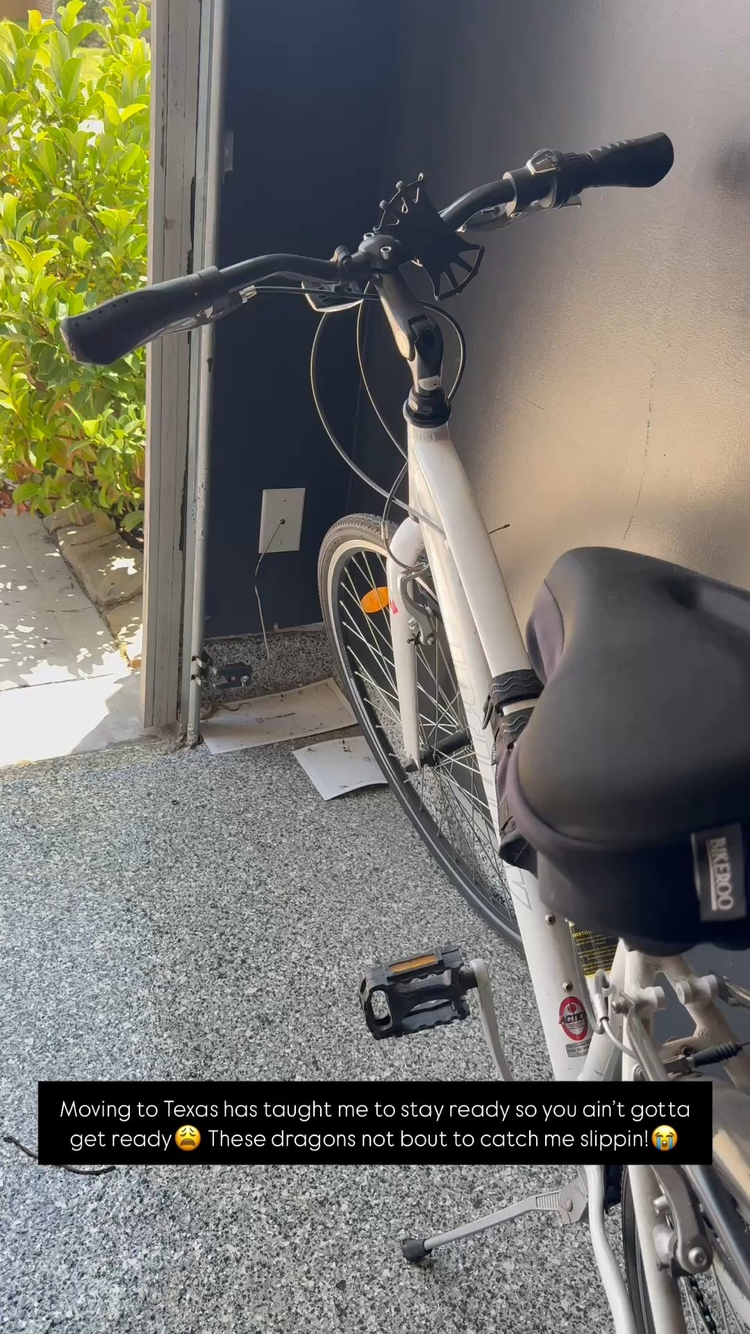 If you hate critters you’ll appreciate these sticky traps! They catch everything crawling into our garage! 

#LTKHome #LTKstorytime #LTKFindsUnder50