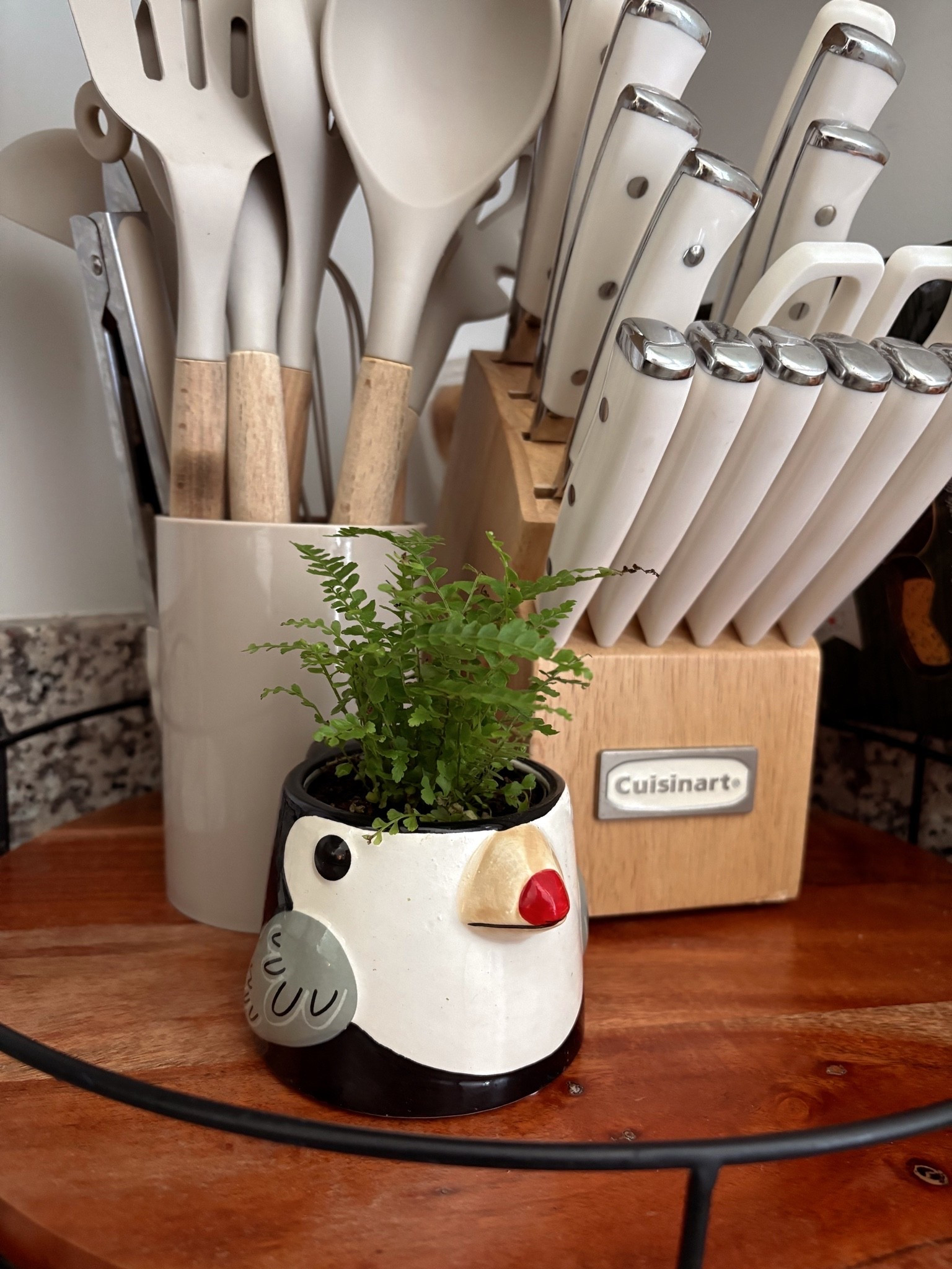My newest little plant friend 🍃

#LTKHome