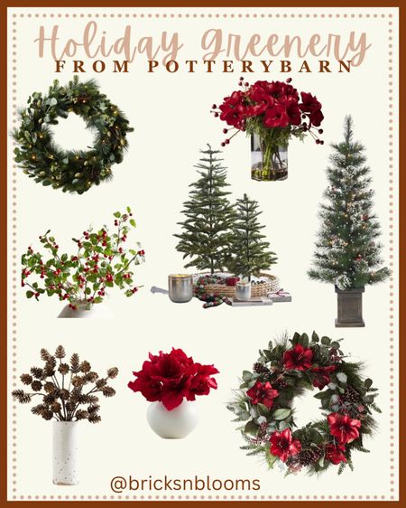 Holiday Greenery from Potter Barn

Winter decor, Christmas decor, Christmas tree, pinecones, Christmas wreaths, amaryllis, poinsettia 

#LTKHoliday #LTKhome #LTKSeasonal