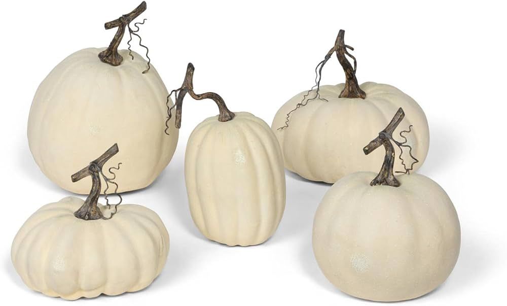 Park Hill Collection, Full Moon Pumpkin Collection, Set of 5 | Amazon (US)