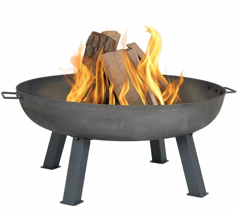 Ocala Union Cast Iron Wood Burning Fire Pit | Wayfair Professional