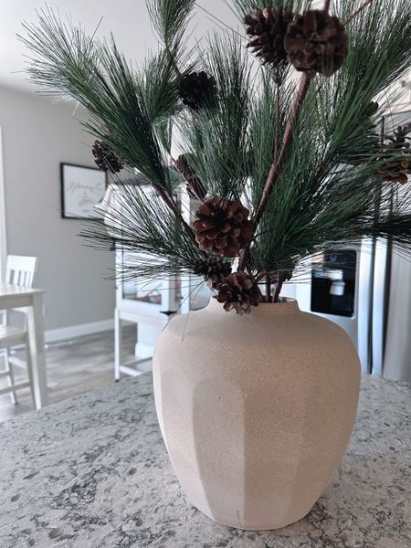 Winter pine decor with vase  

#LTKhome #LTKHoliday #LTKSeasonal