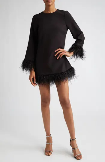 Marullo Feather Trim Long Sleeve Dress | Nordstrom