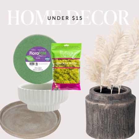 Style these 3 Walmart home decor items currently trending on TikTok for under $15 each! 

#LTKFind #LTKhome #LTKstyletip