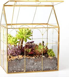 Glass Geometric Plant Terrarium,Succulent & Air Planter for Home Garden Office Decoration (Gold H... | Amazon (US)