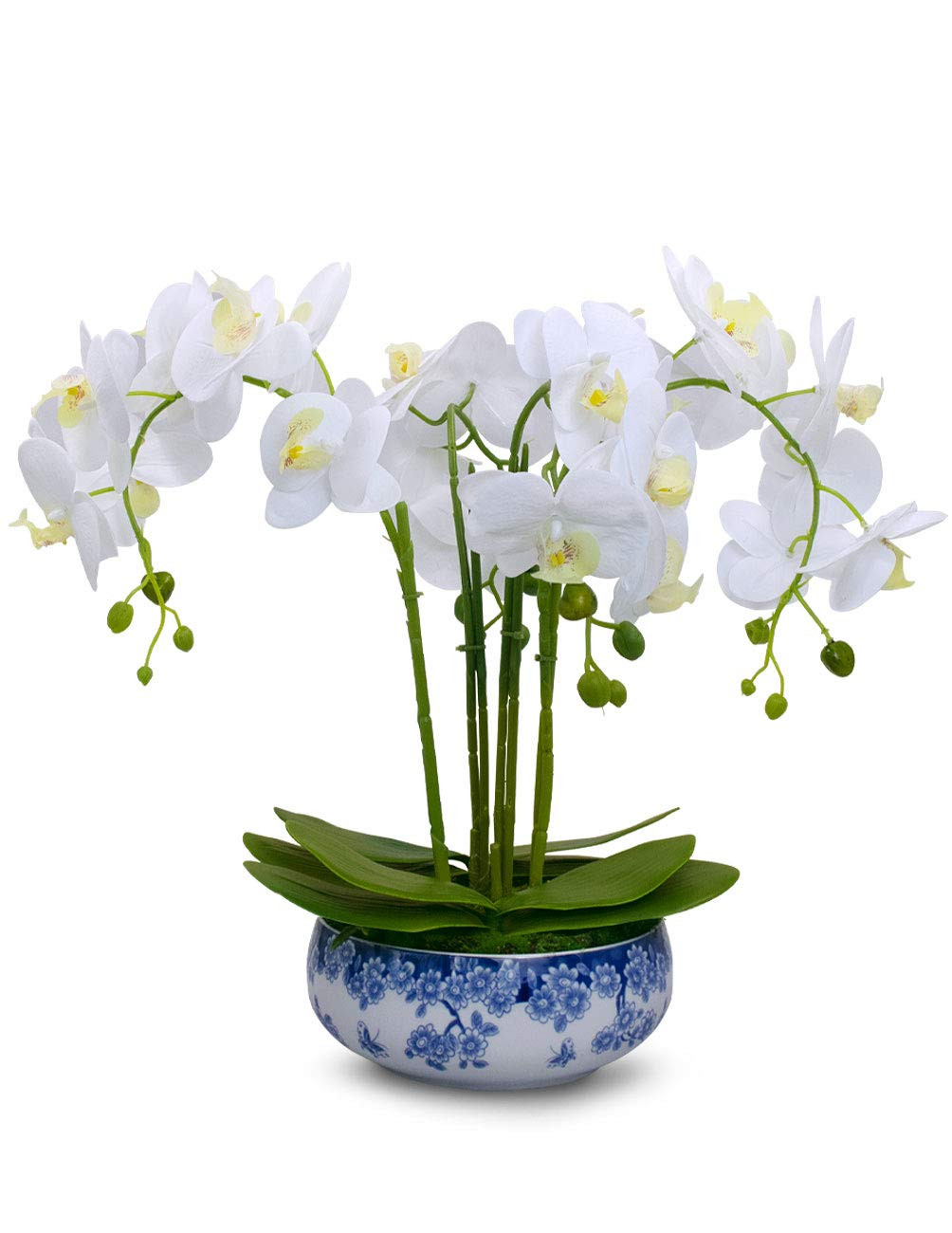 Dahlia Realistic Flower Arrangement in Blue and White Porcelain Pot, 24 Phalaenopsis Orchids, Whi... | Amazon (US)