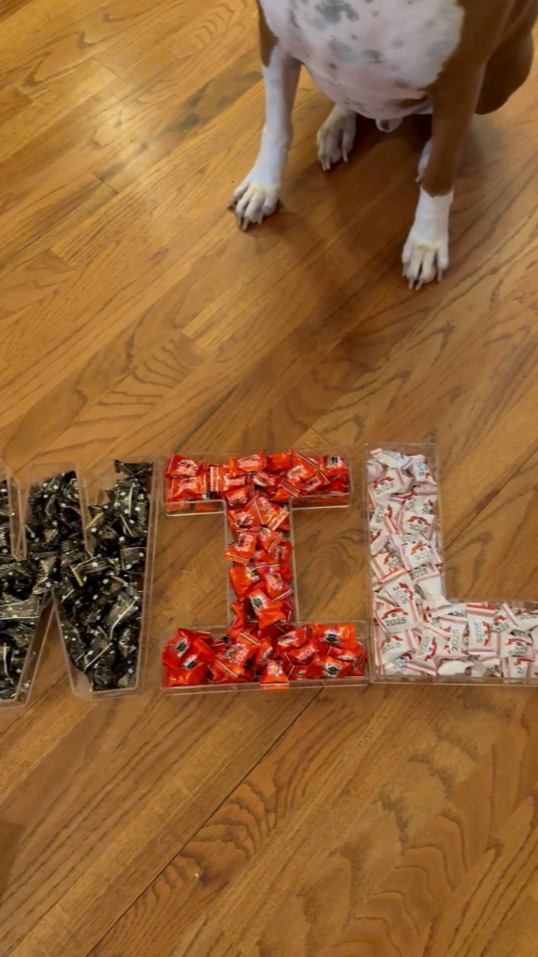 I made these super cute Class of 2025 butter mints acrylic charcuterie trays for my friend’s son, Will! I used his school colors! 🖤❤️ These are going to look great at his graduation party🎓

#LTKFindsUnder50 #LTKParties #LTKKids