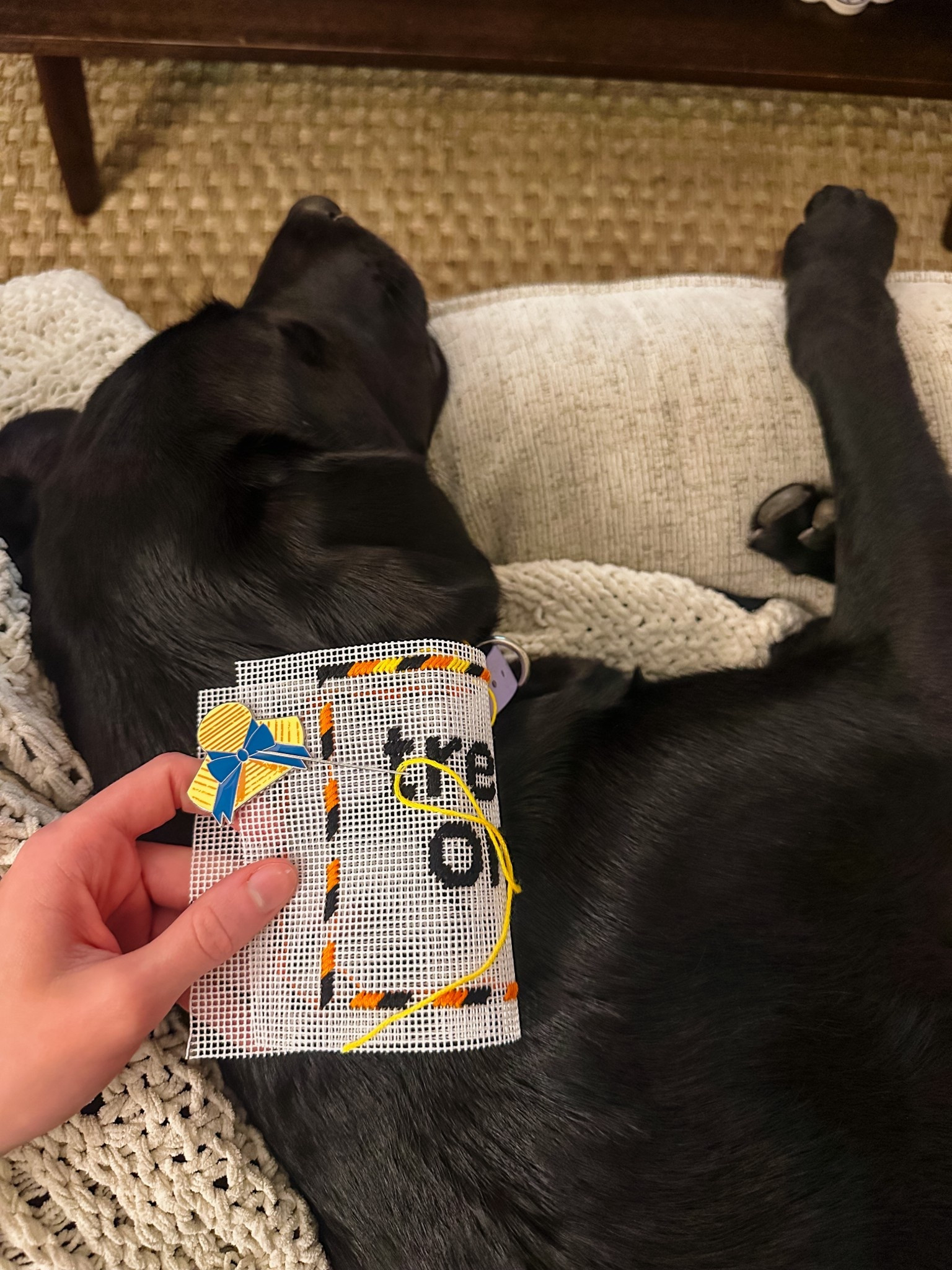 Snuggles & stitches tonight with my girl 🤍🐾 Any guesses on my next needlepoint project?? 

#LTKPets