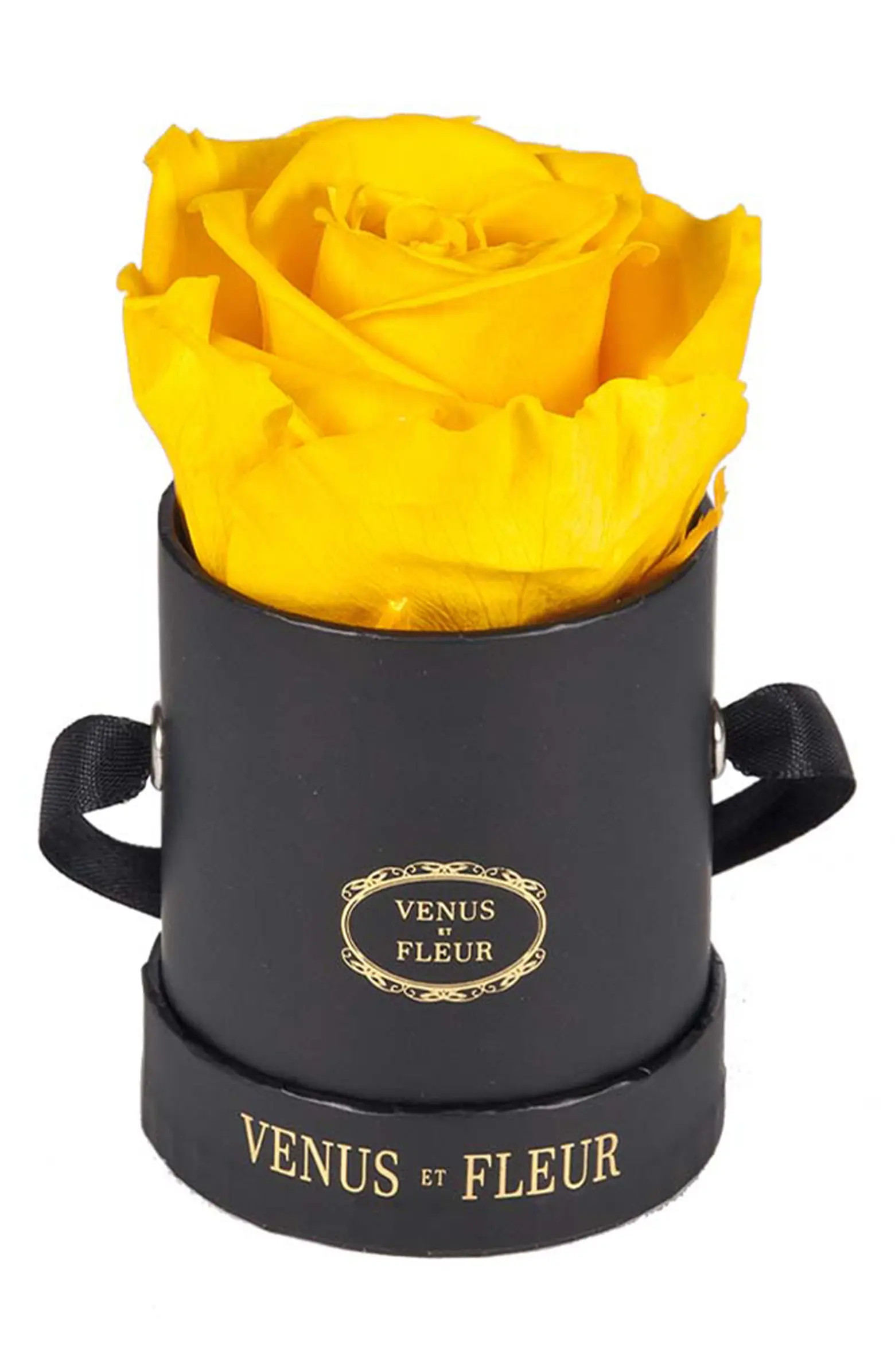 Classic Le Mini™ Round Eternity Rose | Nordstrom