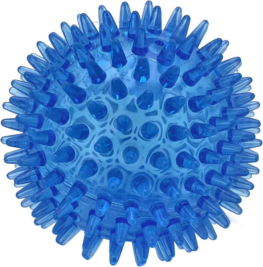 Cutie's PetBox Squeaky Rubber Spike Toy Ball for Medium, Large Dogs (3.5 Inch, Blue) | Amazon (US)