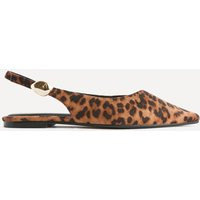 Linzi Women's Profile Leopard Print Ballet Flats in Tan | Size: 5-Standard Fit | Debenhams UK