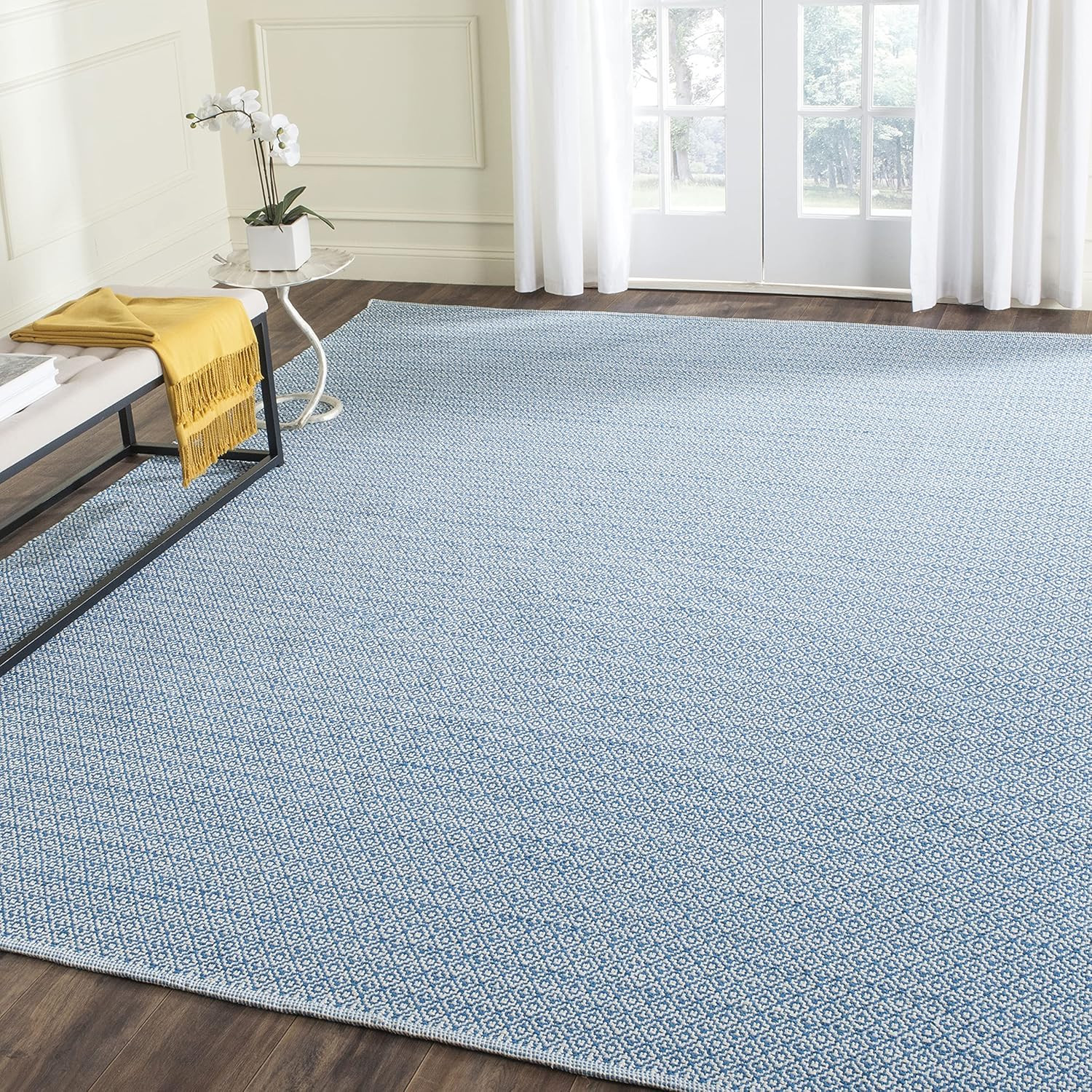 Safavieh Montauk Collection MTK717C Handmade Cotton Area Rug, 8' x 10', Ivory / Blue | Amazon (US)