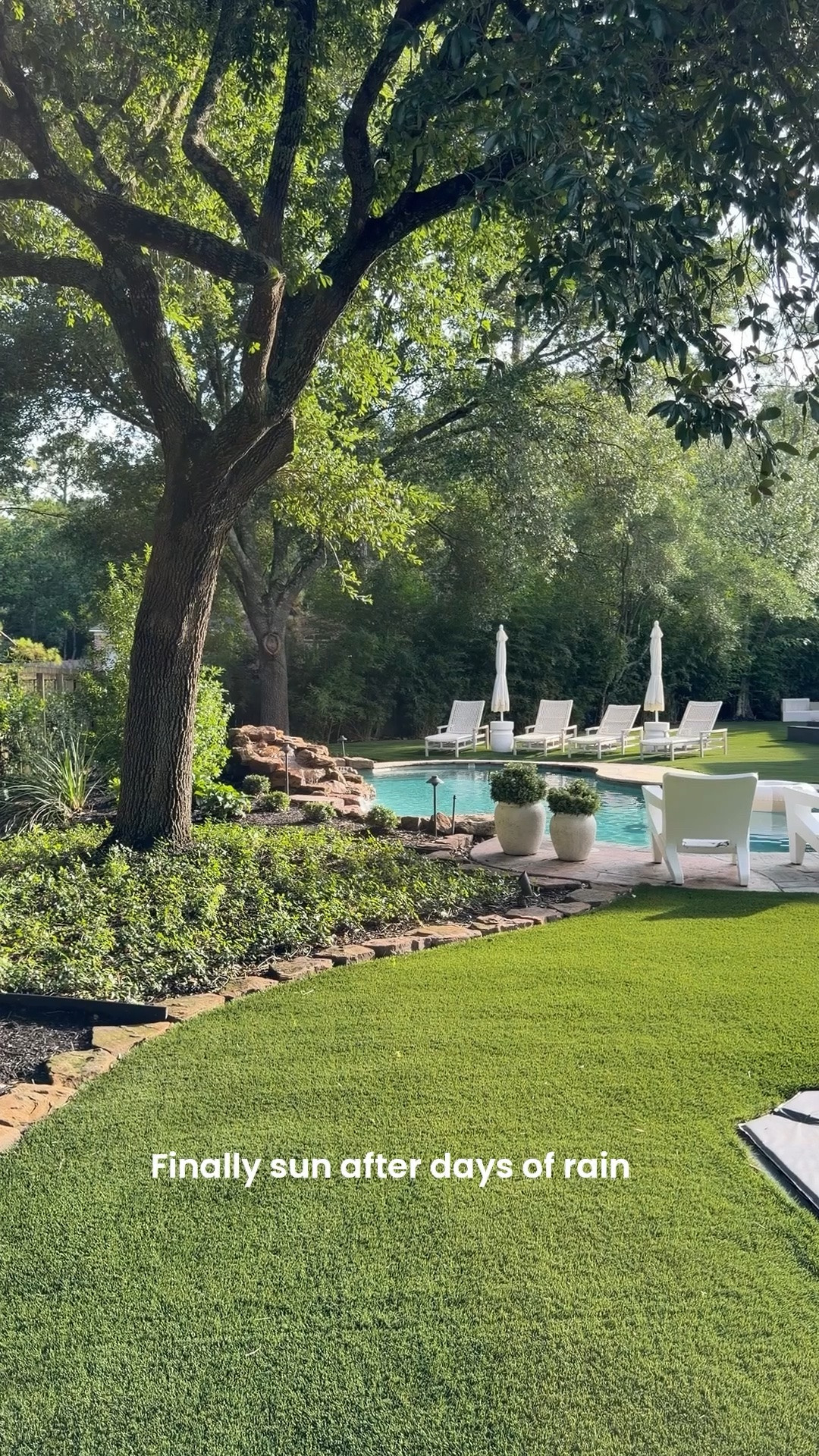 Rainy week in Houston.  Finally the sun is out and we can enjoy our beautiful backyard!