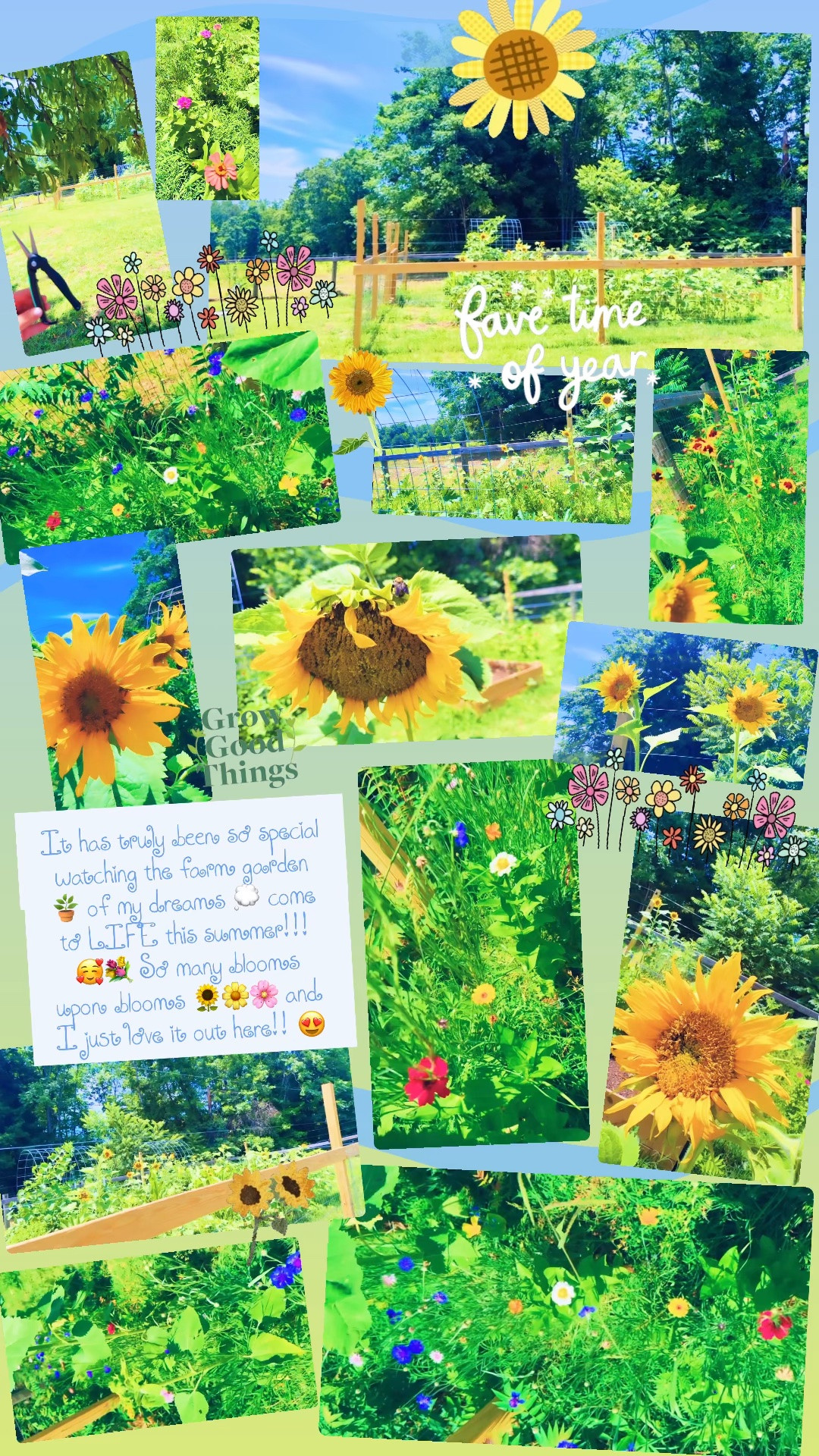 It has truly been so special watching the farm garden 🪴 of my dreams 💭 come to LIFE this summer!!! 🥰💐 So many blooms upon blooms 🌻🌼🌸 and I just love it out here!! 😍
