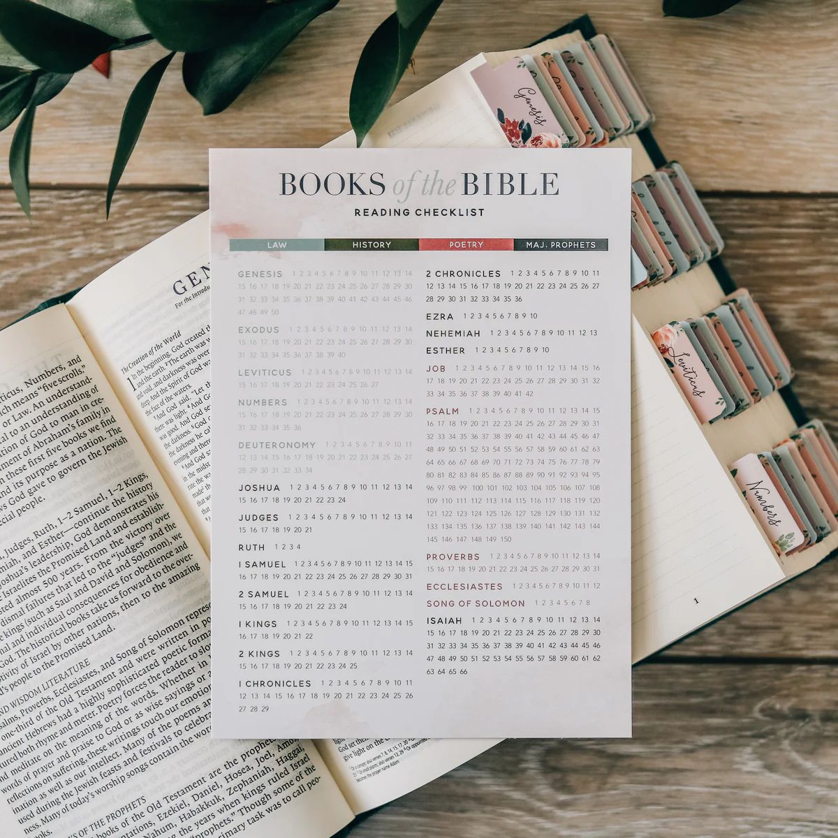 Books of the Bible Reading Checklist | The Daily Grace Co.