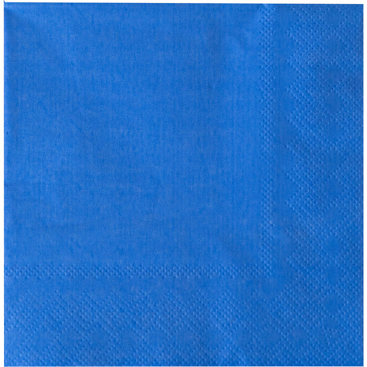 Sapphire Large Napkins | Maisonette