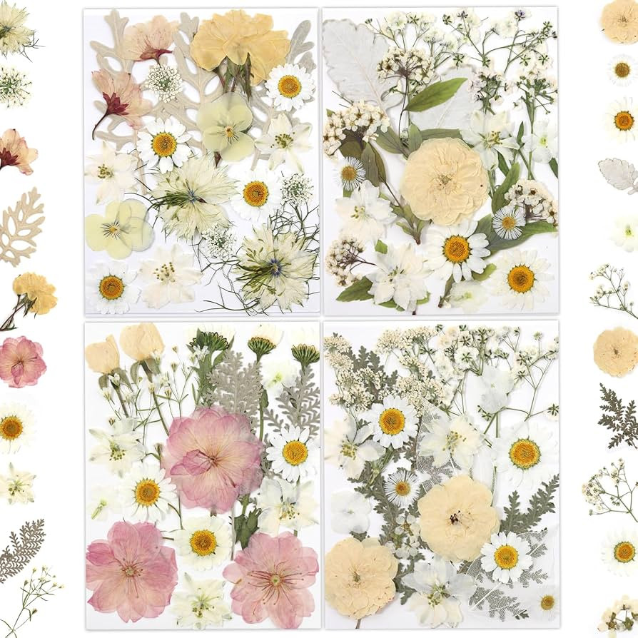80 Pcs Dried Flowers for Crafts, Real Natural Dried Pressed Flowers in Soft Yellow, White & Pink ... | Amazon (US)