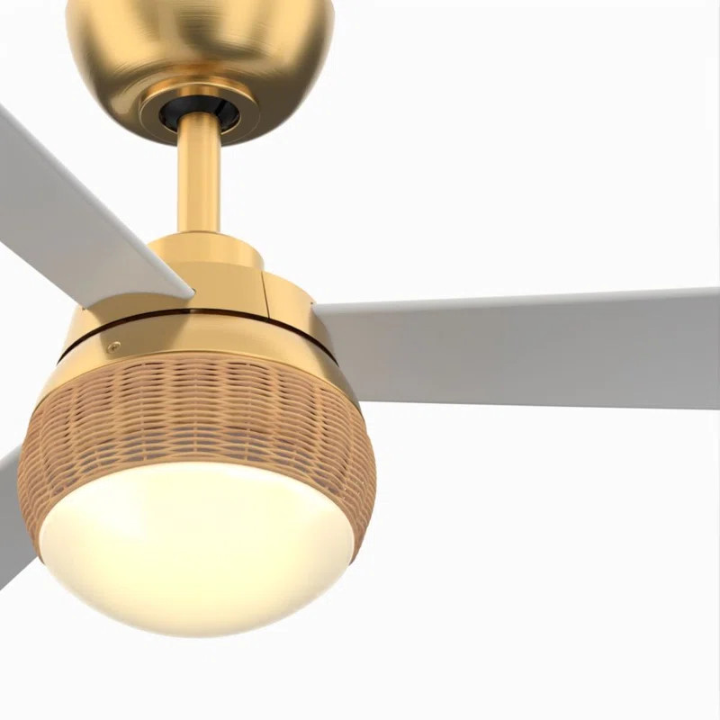 Paget 52'' Ceiling Fan with LED Lights | Wayfair North America