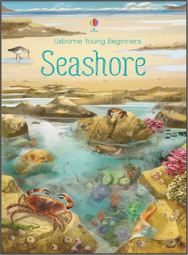 Young Beginners - Seashore | Amazon (US)