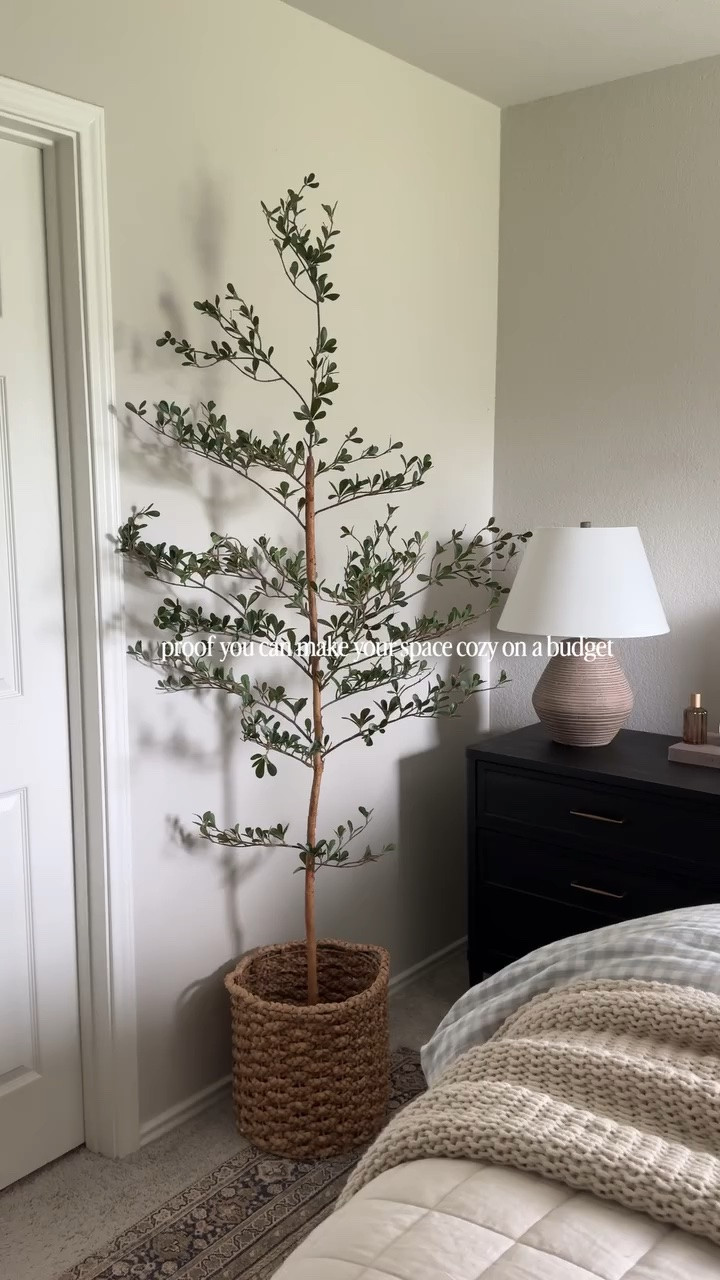 love a little black olive tree moment! comment “shop” and i’ll send you the link! 🌱 #olivetree #blackolivetree #bedroominspiration #homeonabudget #cozyhome 

cozy bedroom 
bedroom decor 
how to make your bedroom cozy 
cozy bedroom on a budget 
cozy spaces 
black olive tree 
affordable home decor 
home decor on a budget cozy spaces
amazon home finds 
amazon home
