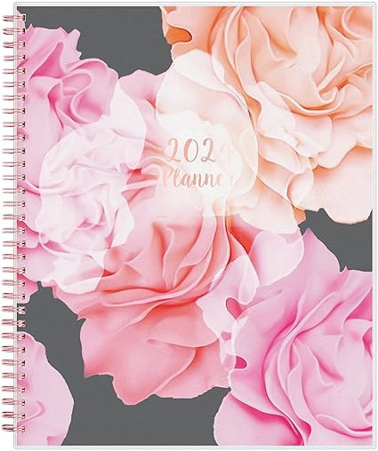 Blue Sky 2024 Weekly and Monthly Planner, January - December, 8.5" x 11", Frosted Cover, Wireboun... | Amazon (US)