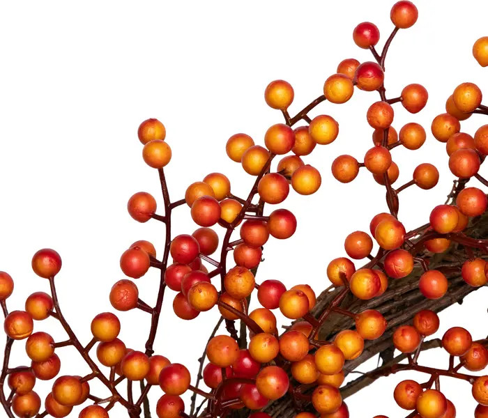 Northlight Artificial Berries Fall Harvest Twig Wreath - 18" - Orange | Nordstrom | Nordstrom
