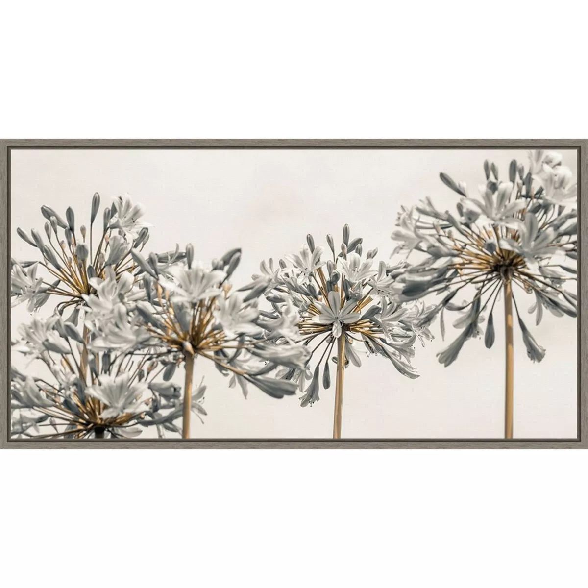 26" x 14" African Lily Flowers II by Assaf Frank Framed Wall Canvas - Amanti Art | Target