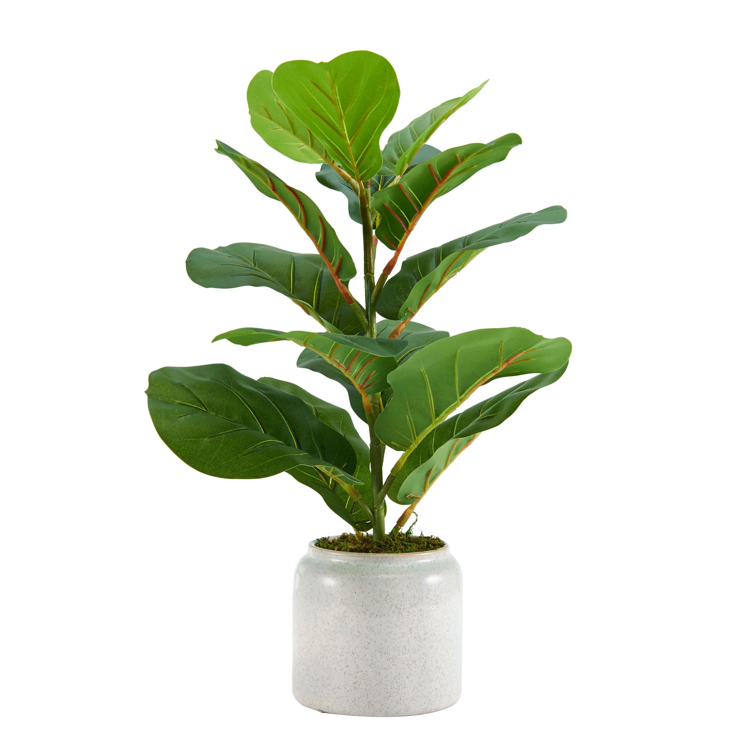 Elements 20-inch Fiddlewood Plastic Artificial Plant with Ivory Pot | Walmart (US)