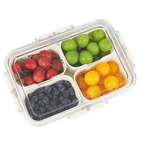 KocelFir Snack Box Container, 4 Compartments Divided Serving Tray with Lid, Snackle Box Container, Snack Organizer for Adults Fruit Tray, Veggie Tray, Perfect for Party, Entertaining | Amazon (US)
