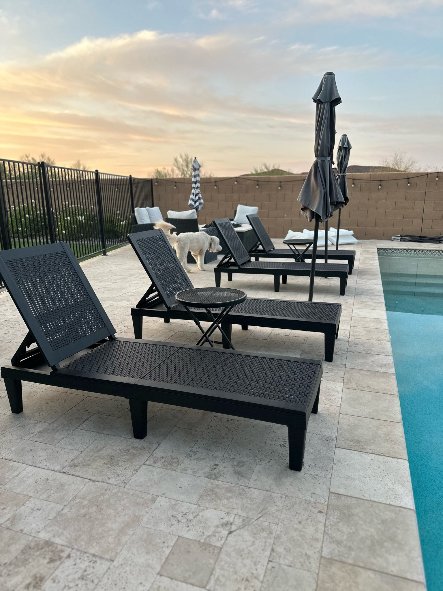 New loungers for summer // 2 pack for under $140! ☀️