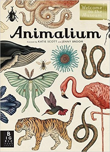 Animalium: Welcome to the Museum    Hardcover – Illustrated, September 9, 2014 | Amazon (US)