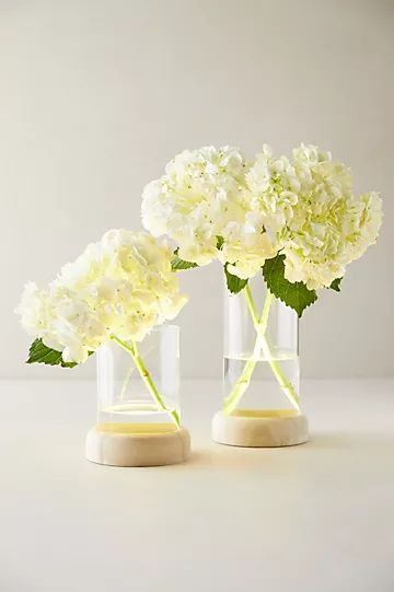 LED Vase on Wood Stand | Anthropologie (US)