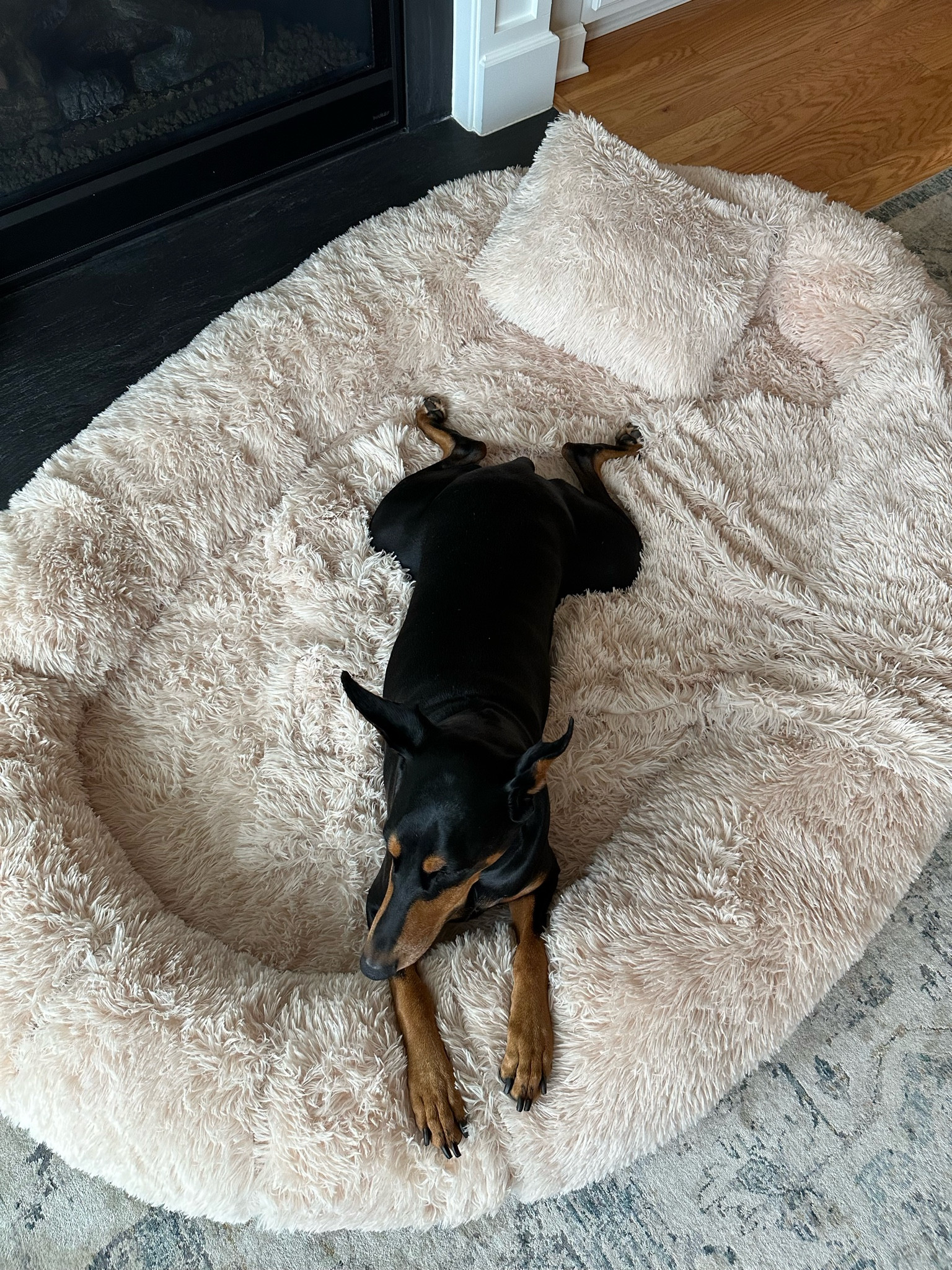 Human Sized Dog Bed - the absolute best purchase I have made so far in 2024! My dog and I can cuddle in it together. I love the cream/beige color, it matches my couch and is easy to wash the cover. Great for movies night! 10/10 recommend 🐶

#LTKfamily #LTKsalealert #LTKhome