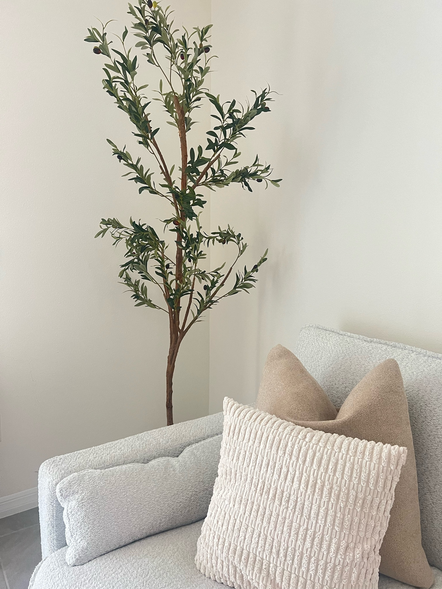 Olive tree 🫶🏽

#LTKSummerSales #LTKHome