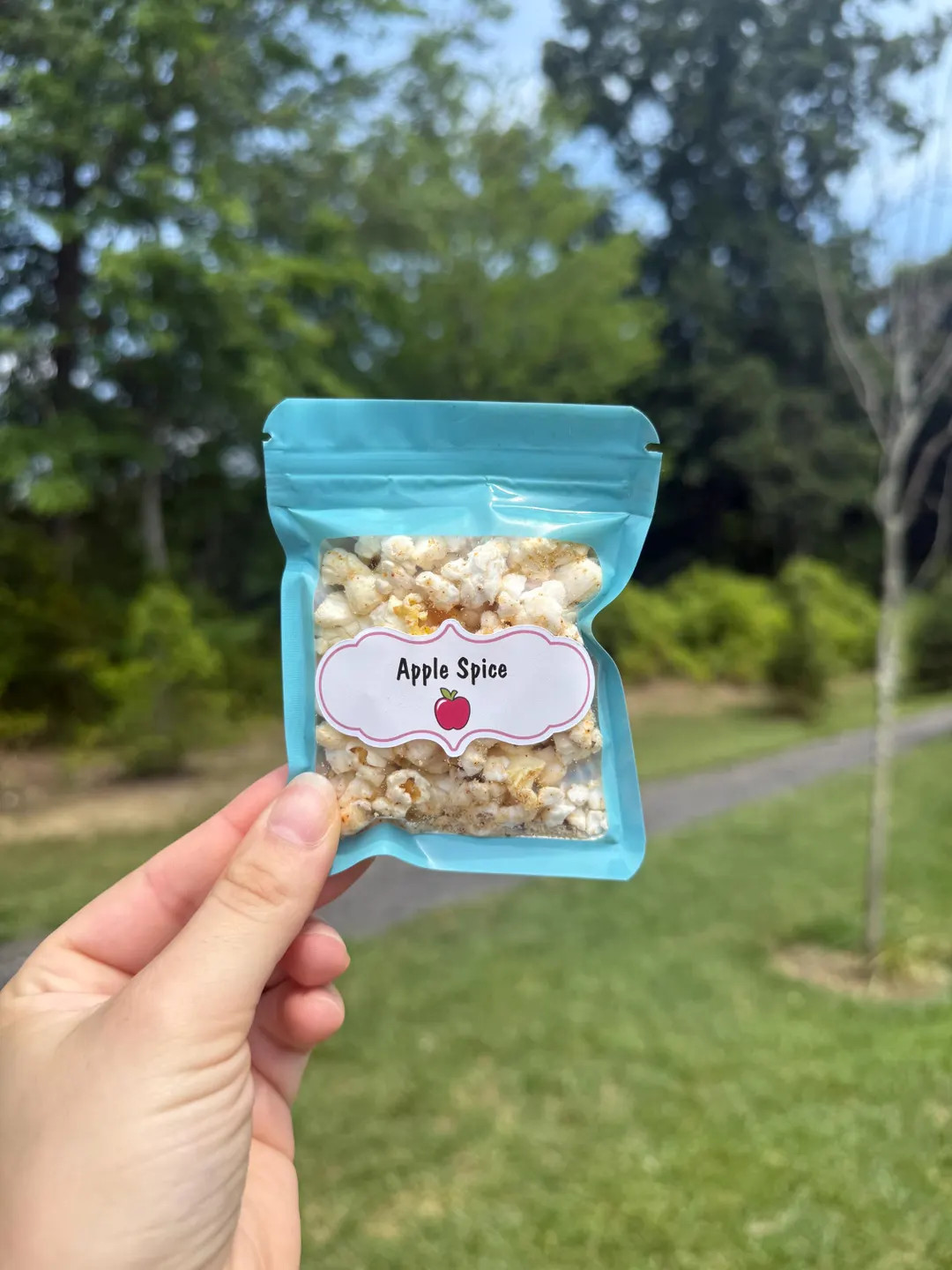 Apple Spice- Hermit Crab Popcorn - Healthy Snacks - Hermit Crab Food | Etsy (US)