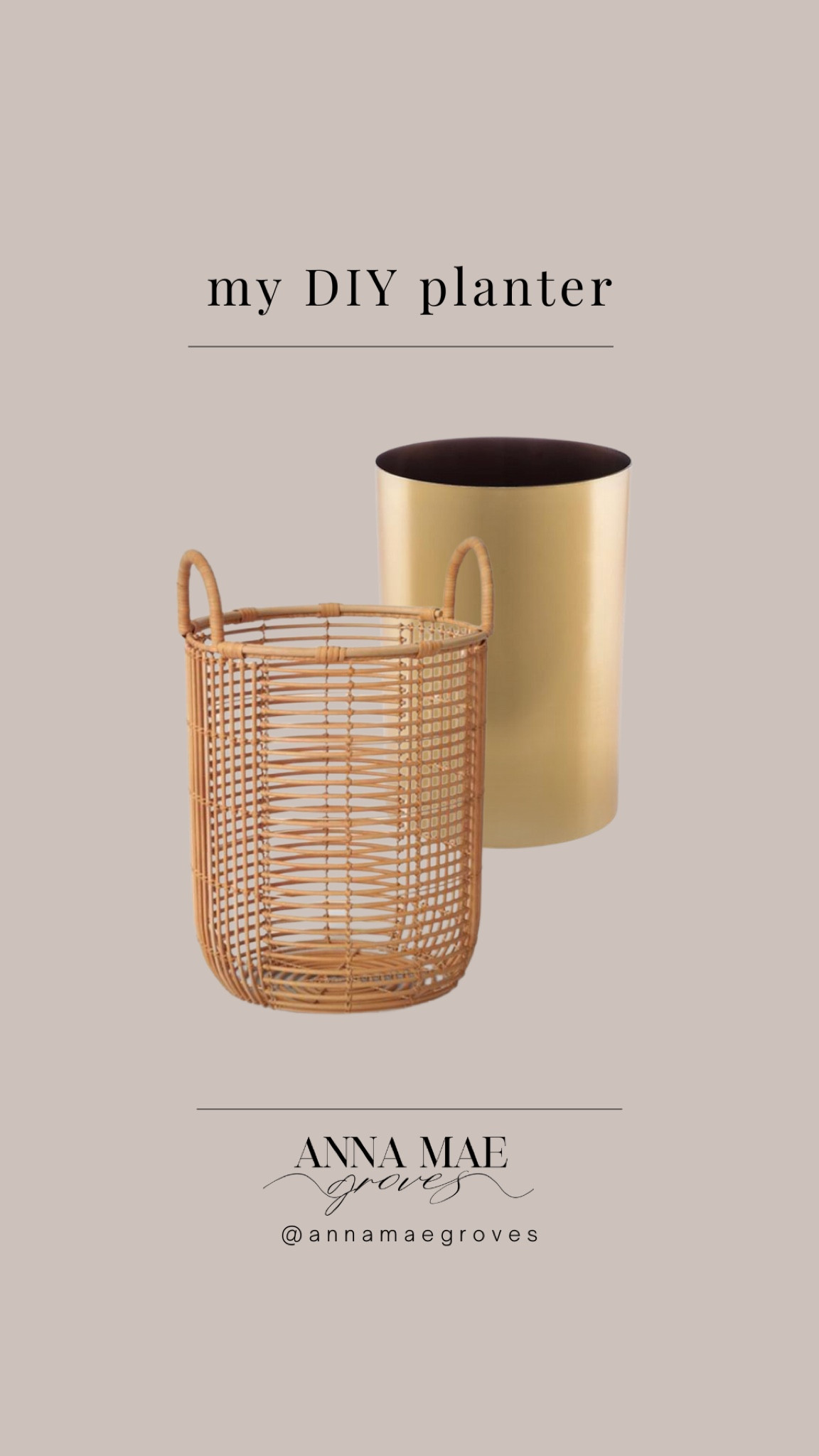 Made my own planter by using a basket and a gold trash can 😍

#LTKunder50 #LTKhome