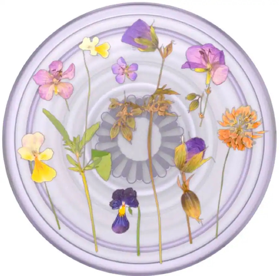 PopSockets - PlantCore Cell Phone Grip & Stand - Purple Fields | Best Buy U.S.