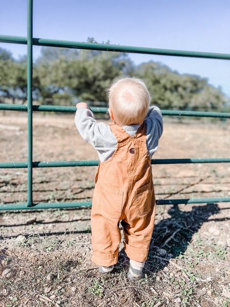 Baby carhartt overalls are the cutest and best for crawling around the farm without getting dirty. He is also wearing a quarter zip sweatshirt from old navy that I have him wear every single day. Plus baby socks with grippers are a must for moving littles. 

Baby boy, farm baby, toddler outfits, baby outfit, baby overalls

#LTKbaby #LTKfamily #LTKunder50