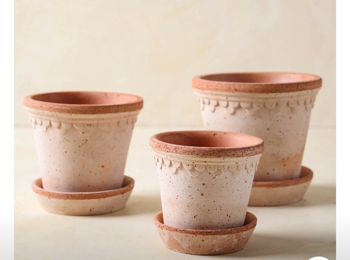 Nancy Meyer Vib Flower Pots for herbs in kitchen 