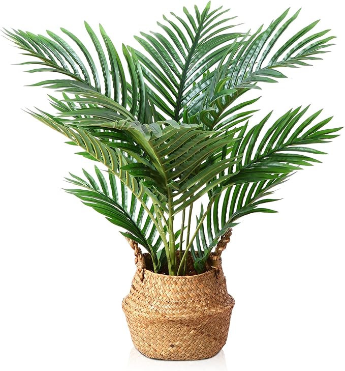 LOMANTO Fake Majesty Palm Plant 2Ft Artificial Plants for Home Decor Indoor Small Faux Trees in P... | Amazon (US)