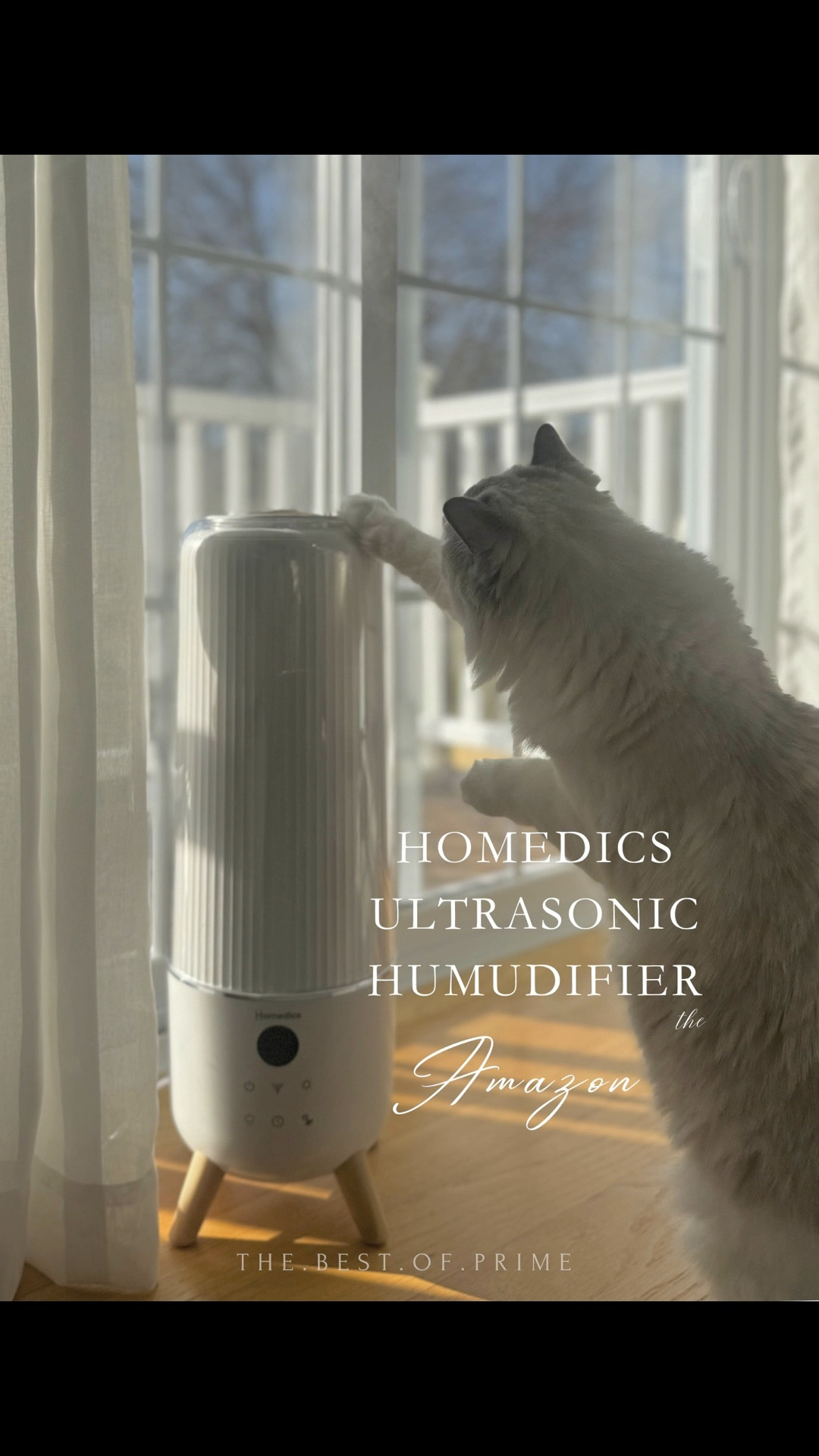 The Homedics ultrasonic humidifier is absolutely amazing and beautiful! 

Humidifier, Amazon 

#LTKhome #LTKfindsunder100