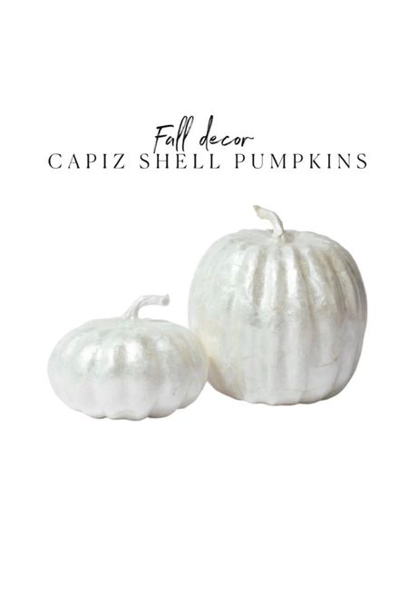 White Capiz shell pumpkins 

#LTKsalealert #LTKhome #LTKstyletip