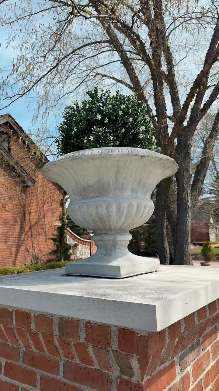 My fake flowers.  Shhhhh 

#LTKootd #LTKOver40 #LTKHome