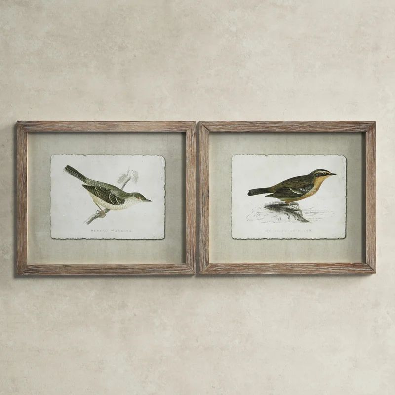 Vintage Extra Large Vintage Style Warbler And Accentor Bird Illustrations - 2 Piece Picture Frame... | Wayfair North America