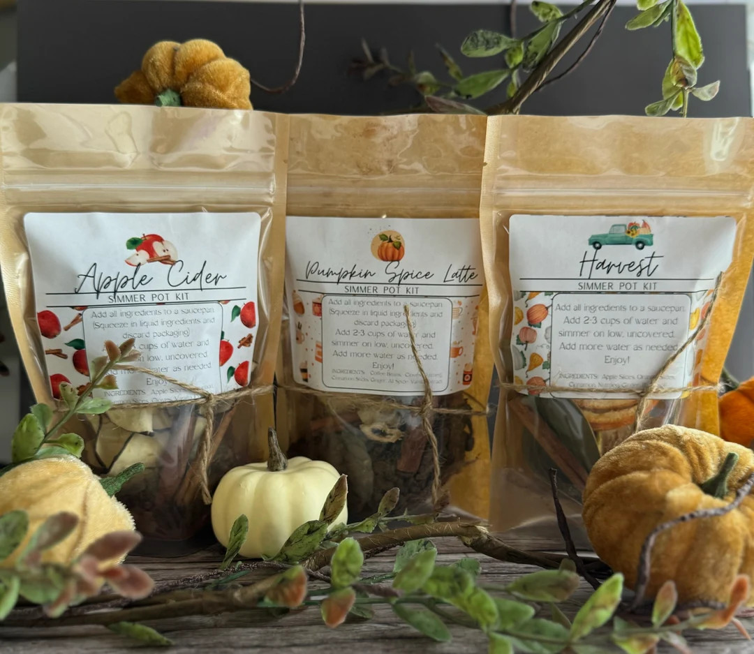 Fall Simmer Pot Kits - Stovetop Potpourri - Dried Fruits, Spices - Etsy | Etsy (US)