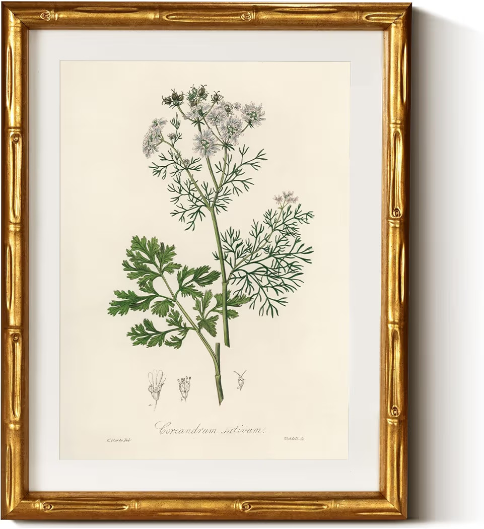 InSimSea Gold Bamboo Framed Canvas Wall Art, Plants Fern Botanical Paintings, Antique Vintage Pic... | Amazon (US)