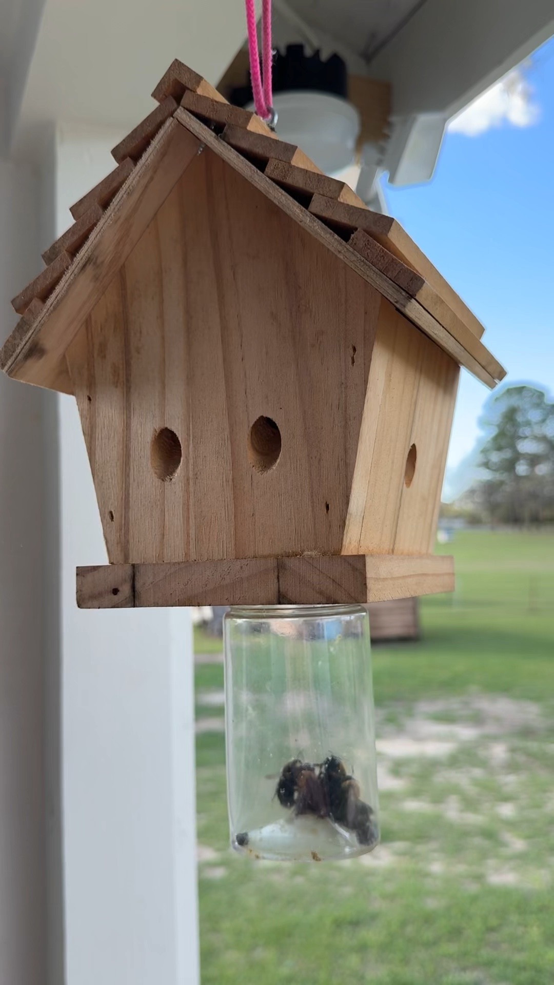 That time of the year!

#LTKHome #LTKSpringSale #LTKSeasonal