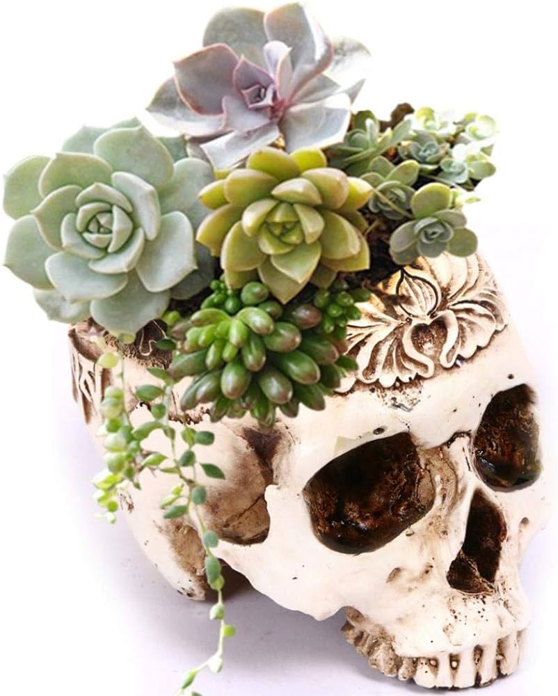 Simcat Resin Skull Planter Flower Succulents Pot Carved Skeleton Flowerpot Sugar Cactus Planter P... | Amazon (US)