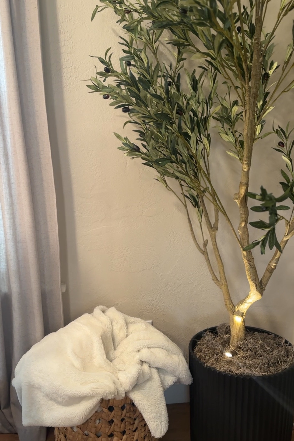 Olive tree & light combo is 🔥

#LTKHome #LTKStyleTip