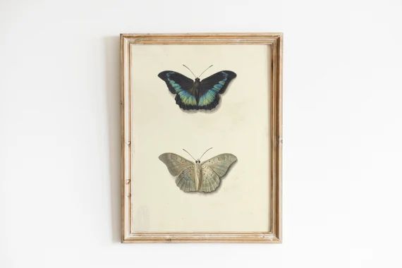 Vintage Butterfly Print, Printable Art Print, Multiple Sizes | Etsy (US)